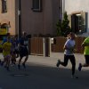 Hauptlauf 2019