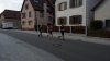 Rathaus_2023